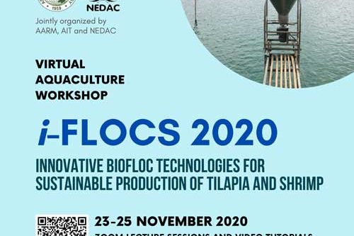 i-flocs-2020 i-floc workshop